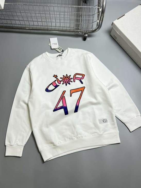 Picture of Dior Sweatshirt _SKUDiorS-XLhgntx0431845